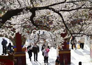 날씨, 서울23도·대전25도 