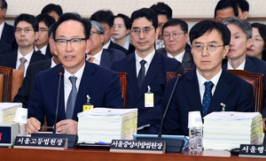 의원 질의에 답변하는 김대웅 서울고등법원장